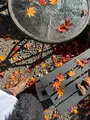 竜頭ノ滝の写真_647472