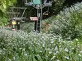 賤ヶ岳隧道の写真_64822