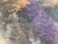 塔のへつりの写真_648462
