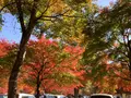 塔のへつりの写真_648470
