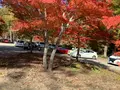 塔のへつりの写真_648484