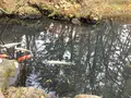 五色沼自然探勝路の写真_649030