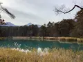 五色沼自然探勝路の写真_649031