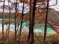 五色沼自然探勝路の写真_649037