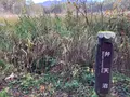 五色沼自然探勝路の写真_649039