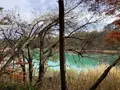 五色沼自然探勝路の写真_649041