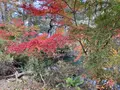 五色沼自然探勝路の写真_649046