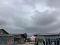道の駅なみえの写真_649226