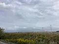 震災遺構 浪江町立請戸小学校の写真_649236