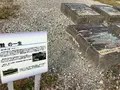 震災遺構 浪江町立請戸小学校の写真_649259