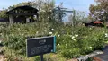レインボーライン山頂公園の写真_652195