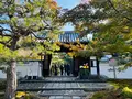 圓光寺の写真_654278