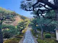 圓光寺の写真_654279