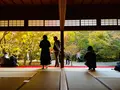 圓光寺の写真_654283