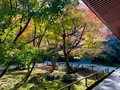 圓光寺の写真_654284