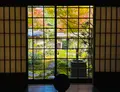 圓光寺の写真_654288