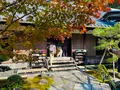 圓光寺の写真_654291