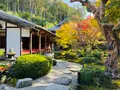 圓光寺の写真_654292