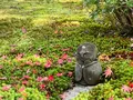 圓光寺の写真_654294