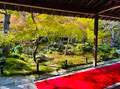 圓光寺の写真_654297