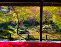 圓光寺の写真_654298