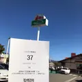 さわやか 長泉店の写真_655294