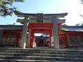 住吉大社の写真_655417