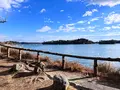 雄島の写真_655578