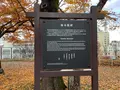 盛岡城跡公園 (岩手公園)の写真_655944