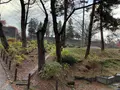盛岡城跡公園 (岩手公園)の写真_655951