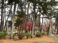 盛岡城跡公園 (岩手公園)の写真_655953