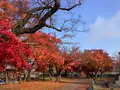 盛岡城跡公園 (岩手公園)の写真_655957