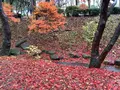 盛岡城跡公園 (岩手公園)の写真_655961