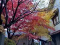 光原社の写真_656000