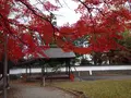 春日神社の写真_656542
