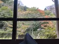 天山湯治郷の写真_656853
