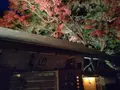 天山湯治郷の写真_656884