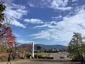 毛越寺庭園の写真_656890