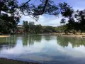 毛越寺庭園の写真_656893
