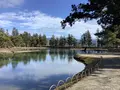毛越寺庭園の写真_656895