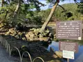 毛越寺庭園の写真_656896