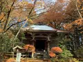 峯薬師堂の写真_657034