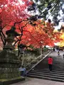 大雄山最乗寺の写真_657353