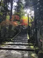 大雄山最乗寺の写真_657354