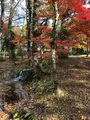大雄山最乗寺の写真_657357