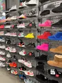 House of Hoops by Foot Lockerの写真_658539
