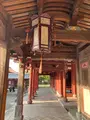 崇福寺の写真_658812