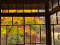 南昌荘の写真_658976