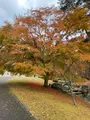 宮沢賢治童話村の写真_658984