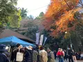 権現茶屋の写真_658991